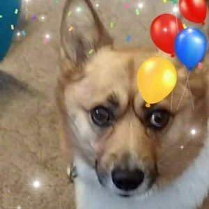 Meet your Posher, Ben